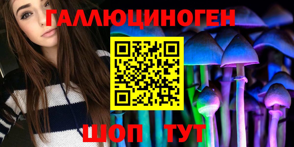 Новодвинск  Галлюциногенные грибы Psilocybine cubensis  Вход с VPN 